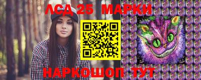 амф Новодвинск