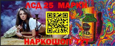 амф Новодвинск