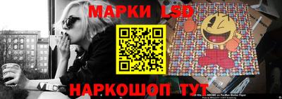 мяу мяу мука Новокубанск