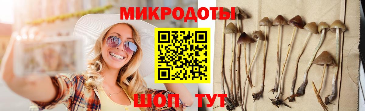 Павловский Посад  Галлюциногенные грибы Magic Shrooms  Псилоцибиновые грибы Magic Shrooms  Вход с VPN 